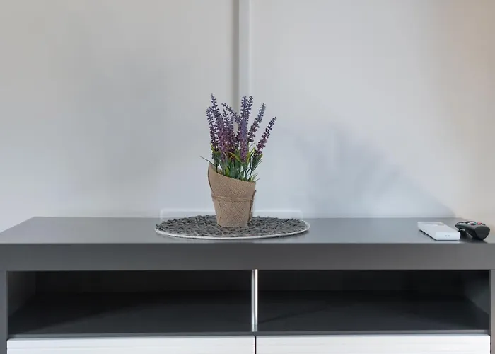 Number One ヴィル